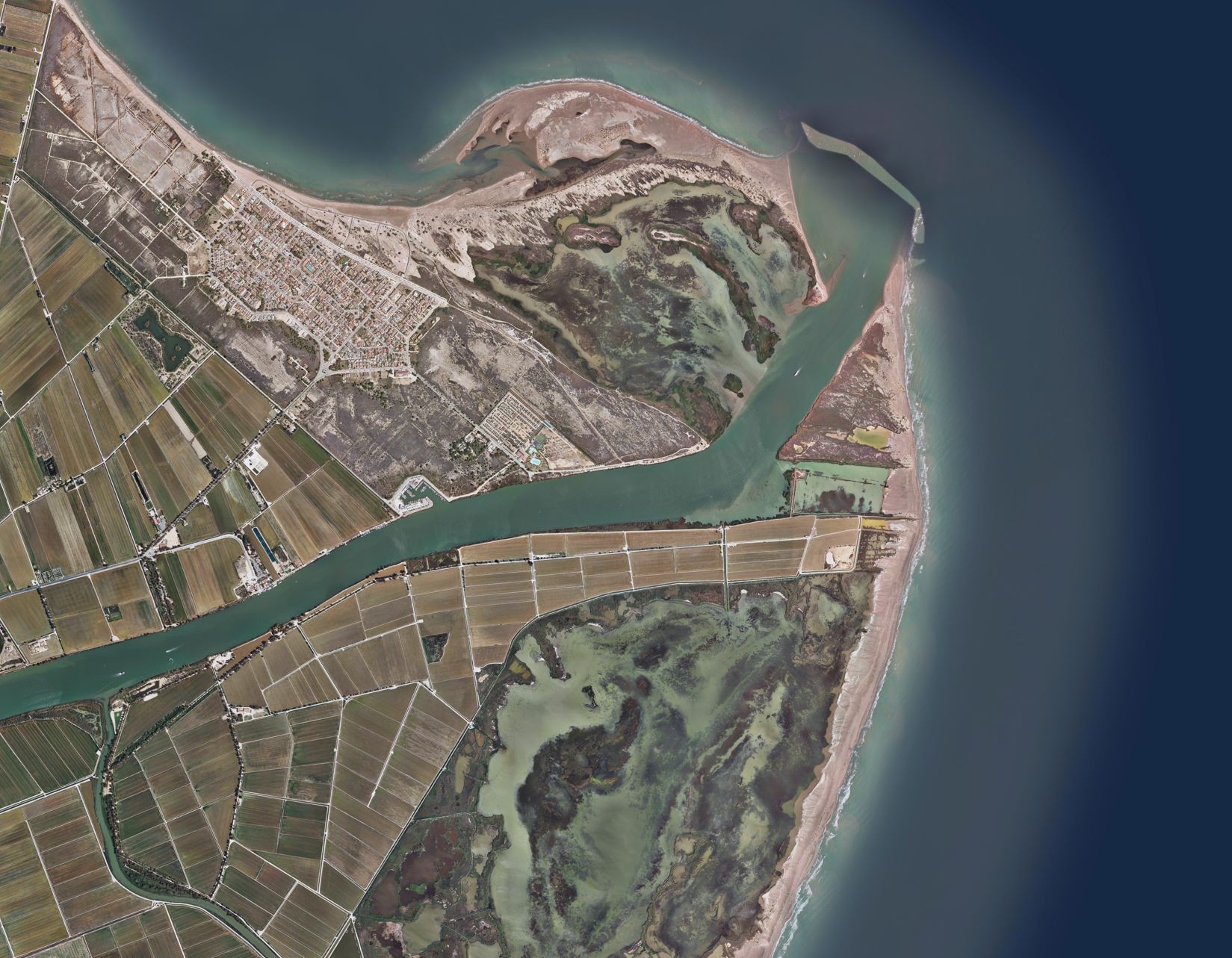 Intelligent monitoring of aquatic environments